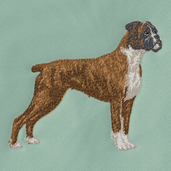 Boxer 9