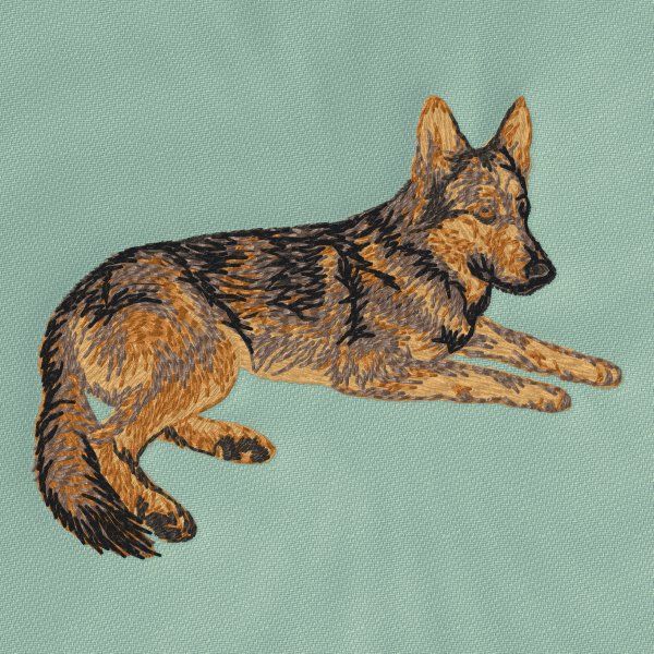 Deutscher Schäferhund 16