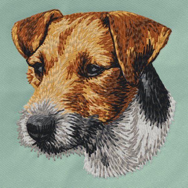 Jack Russell teriér 4
