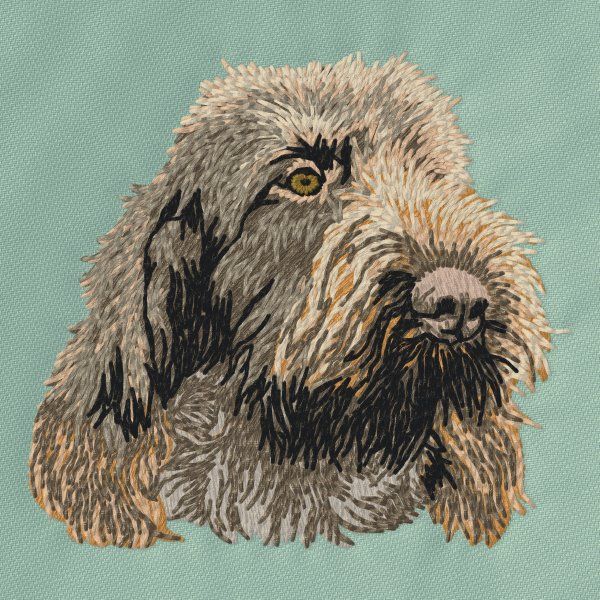 Italský spinone