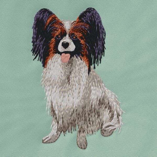 Papillon 5