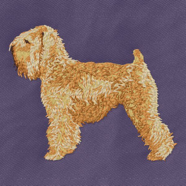Irish soft coated wheaten teriér 3