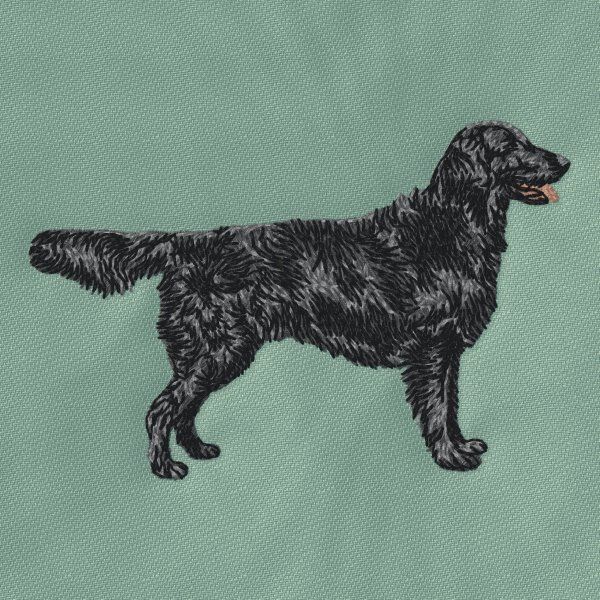 Flat Coated Retriever 3