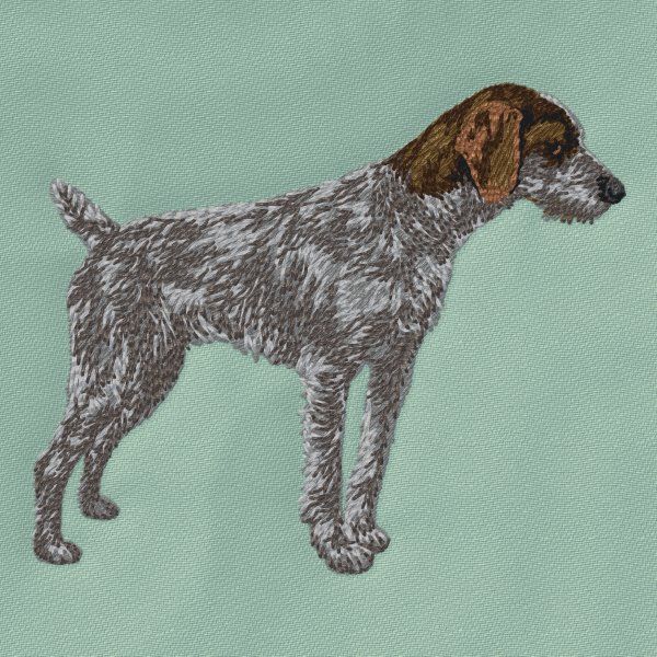 German Wirehaired Pointer 1
