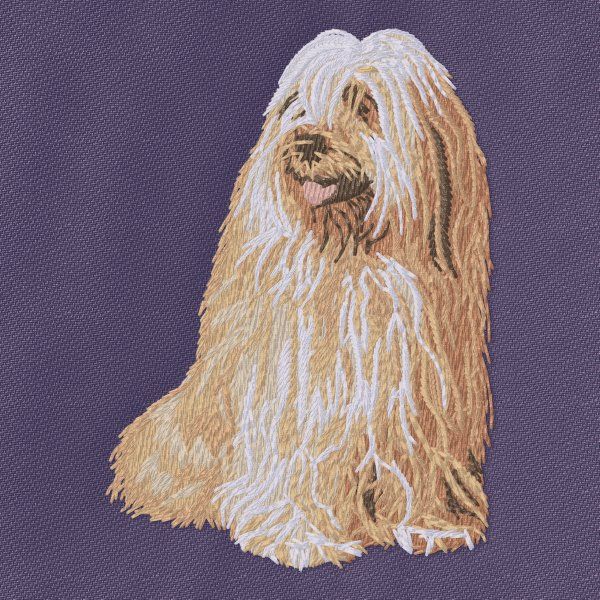 Tibet-Terrier 2