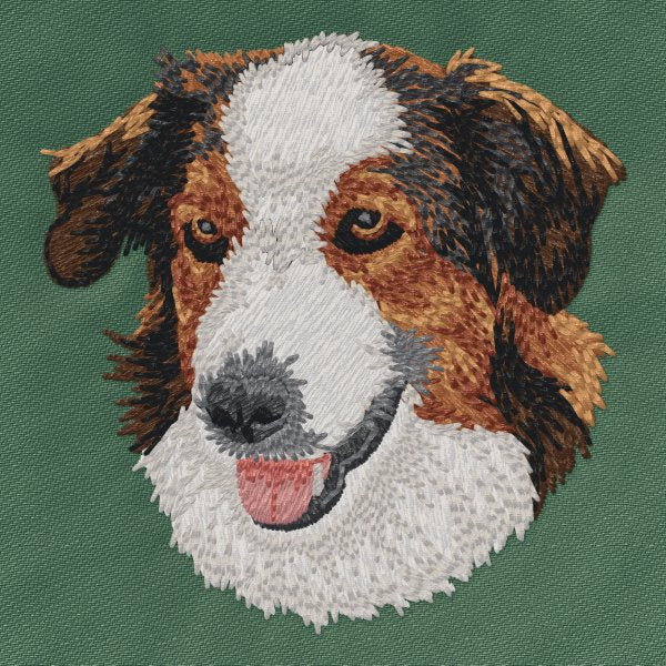English Shepherd