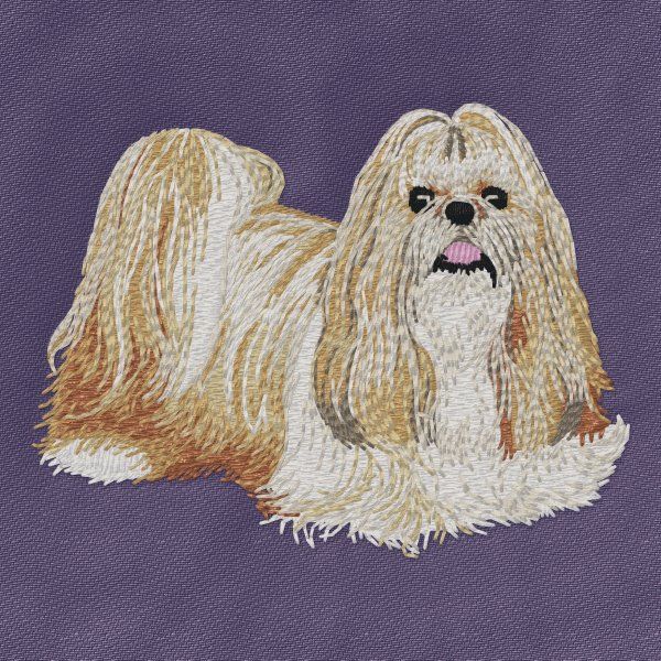 Shih Tzu 5