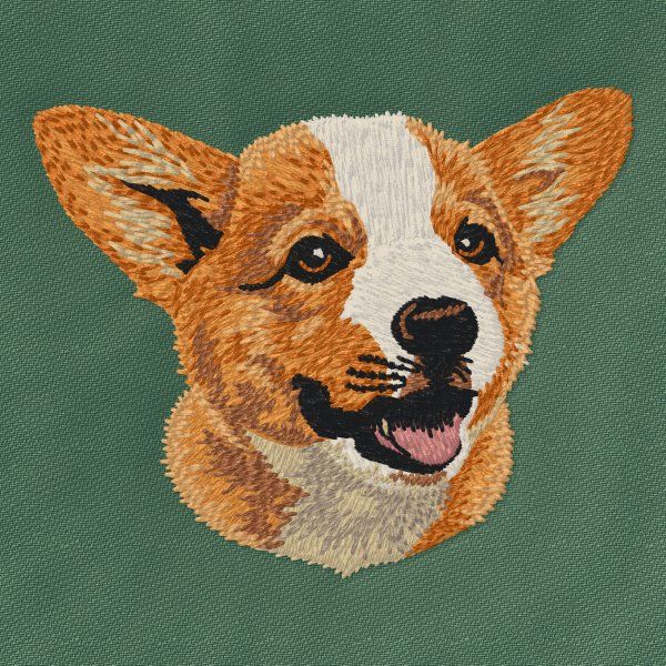 Pembroke Welsh Corgi 3