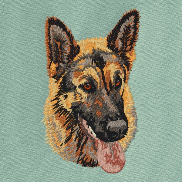 Deutscher Schäferhund 13