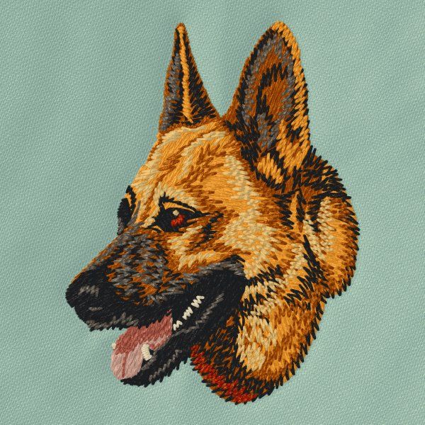 German Shepherd 12