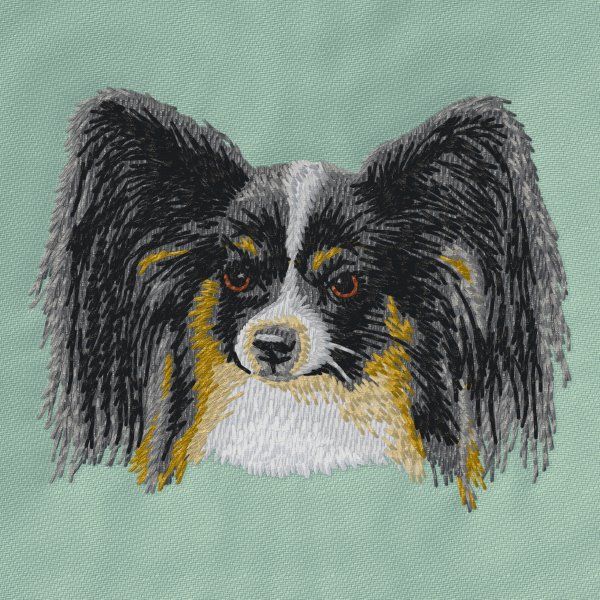Papillon 4