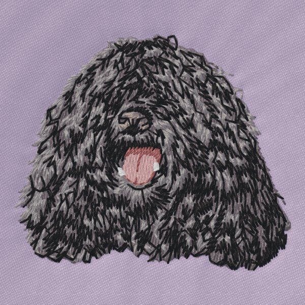 Puli