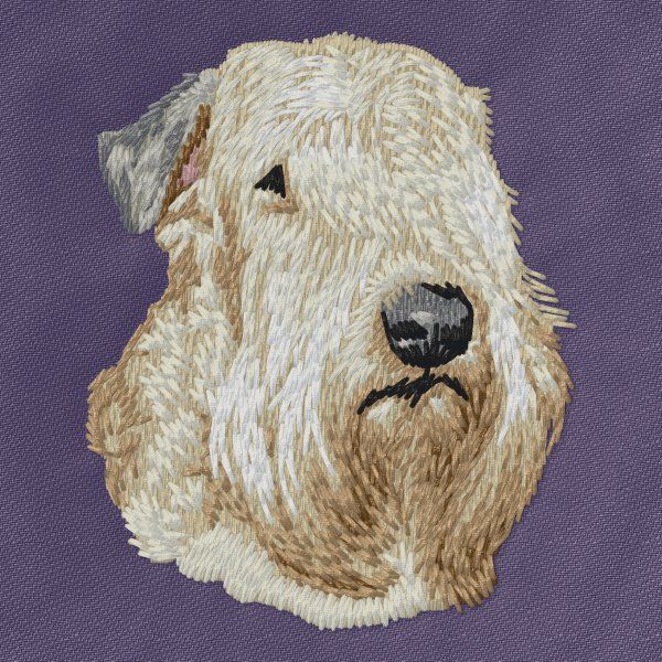 Irish Soft Coated Wheaten Terrier 2
