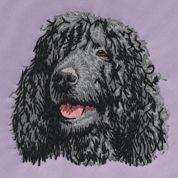 Irish Water Spaniel