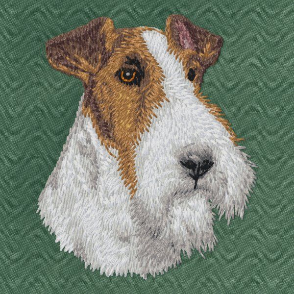 Foxterrier 4