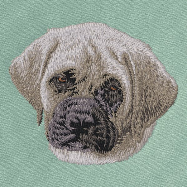 Anglický mastif 3