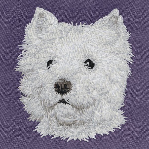 West Highland White Terrier 5