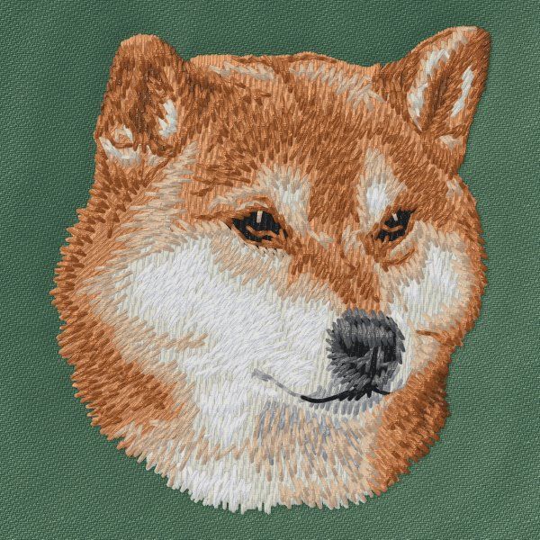Shiba Inu 4