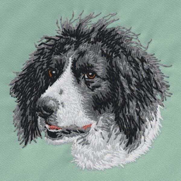 Large Münsterländer