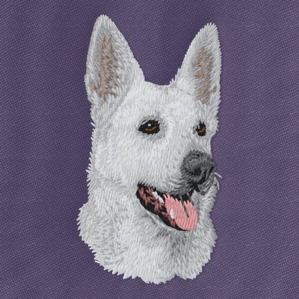 Deutscher Schäferhund 10