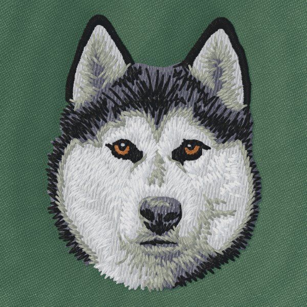 Siberian Husky 4