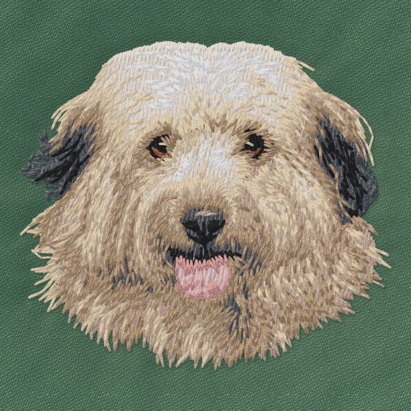Pyrenean Sheepdog
