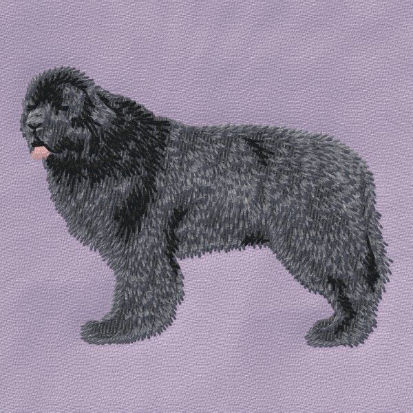 Newfoundland dog 4