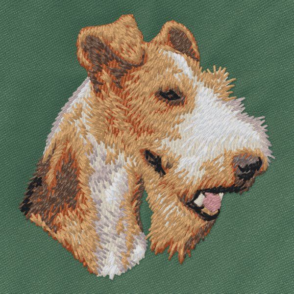Foxteriér 2