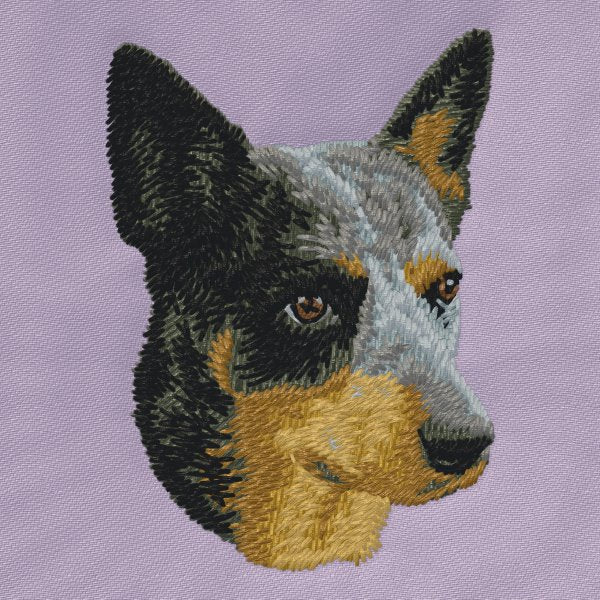 Australská kelpie 1