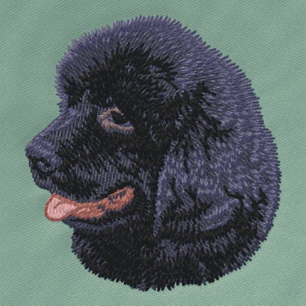 Newfoundland dog 3
