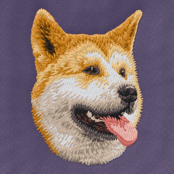 Shiba-Inu 3