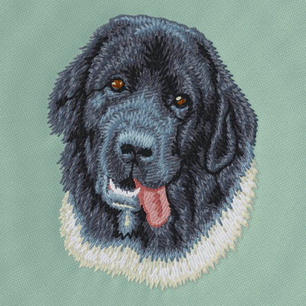 Landseer 2