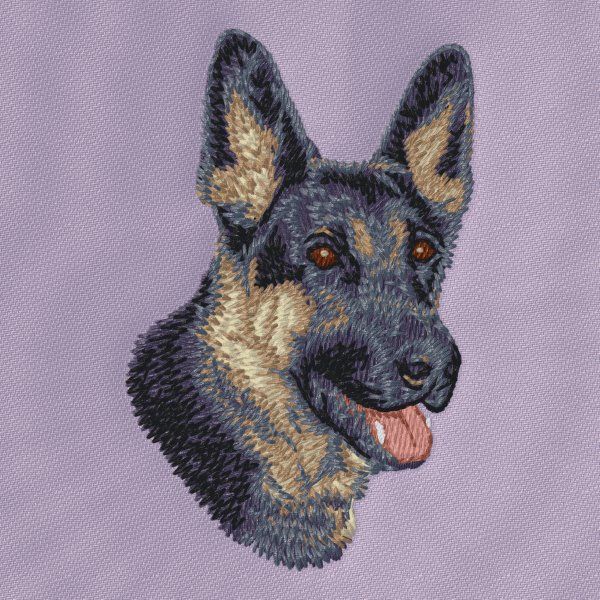 Deutscher Schäferhund 9