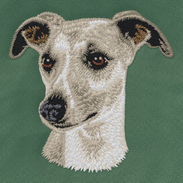 Whippet 2