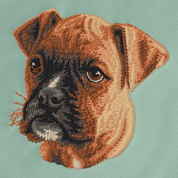 Deutscher Boxer 7