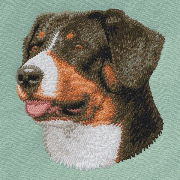 Greater Swiss Mountain Dog 1
