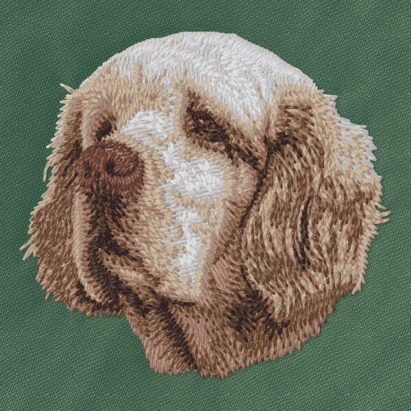Clumber Spaniel 1