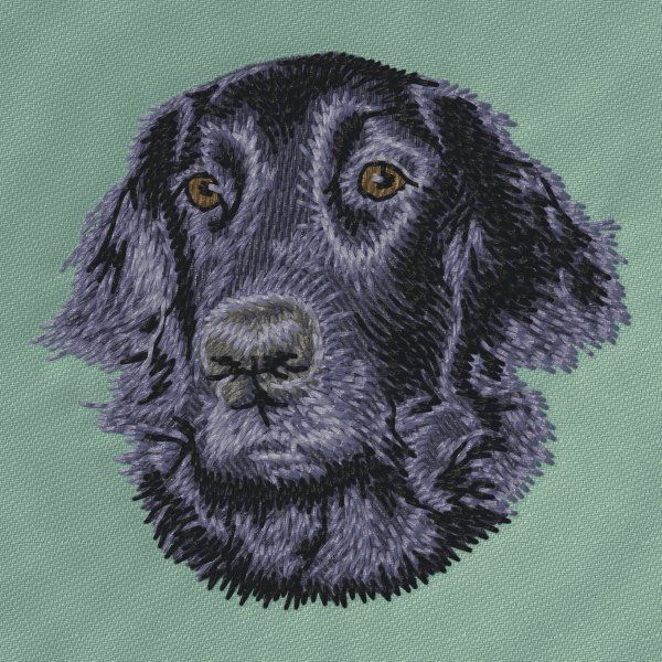Flat-Coated Retriever 1