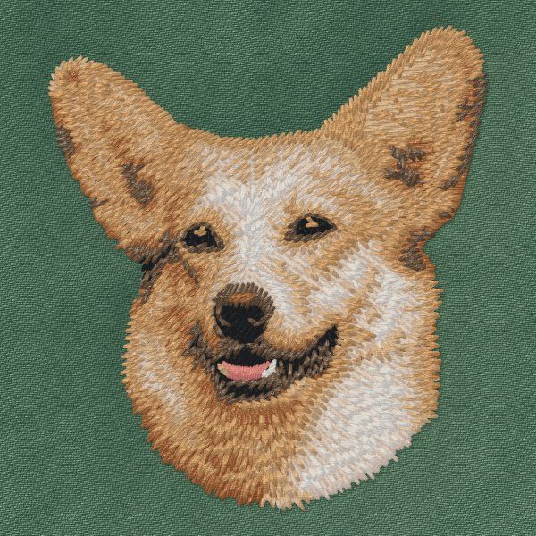 Pembroke Welsh Corgi 2