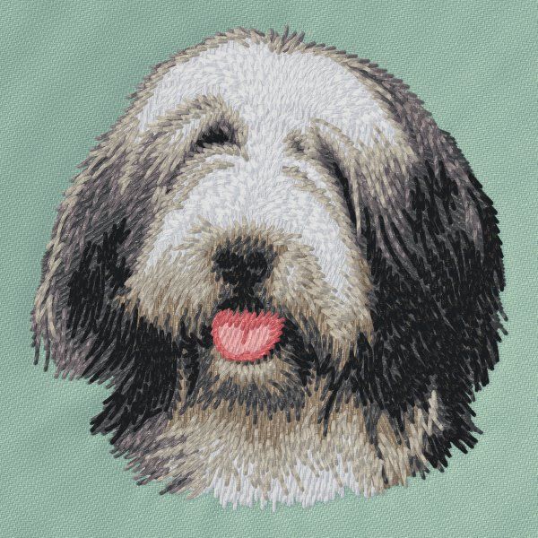 Bearded Collie 2