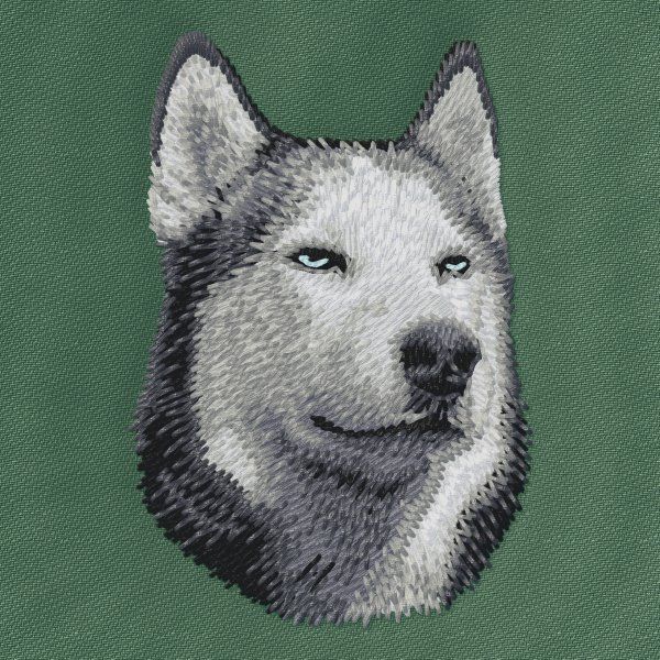 Siberian Husky 3