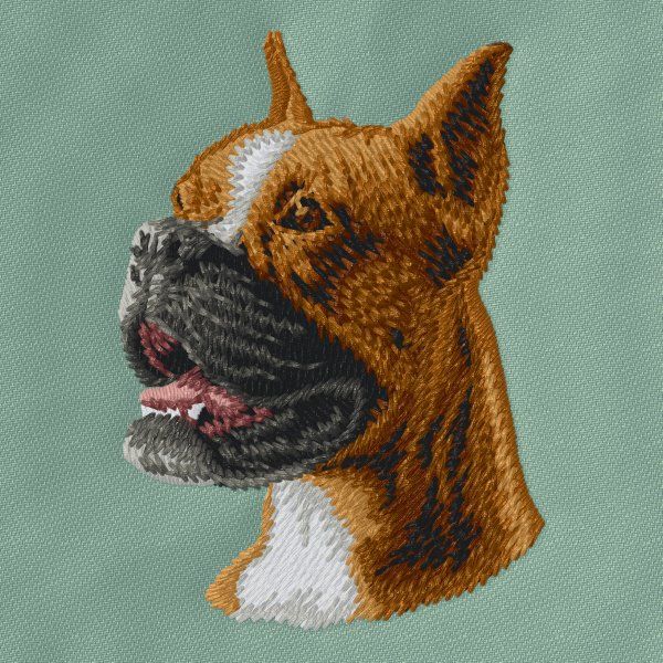 Německý boxer 6