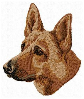 Belgischer Schäferhund 2