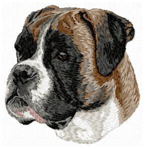 Německý boxer 1