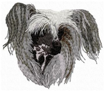 Chinese Crested Dog 2