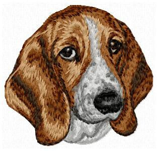 Basset Hound 2