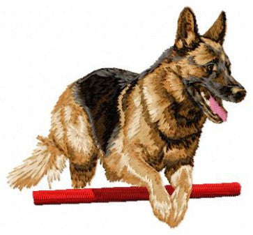 Německý ovčák - Agility