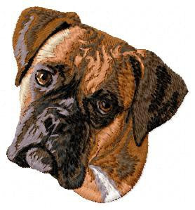 Německý boxer 5