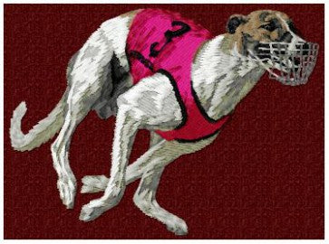 Greyhound 1