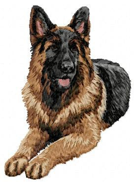 German Shepherd 6